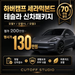 고양 일산 파주 운정 테슬라 모델Y/YL/3 하버캠프 썬팅 틴팅 신차패키지