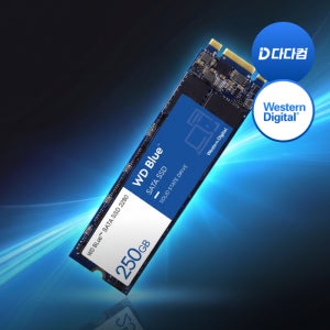 [중고] WD Blue 3D NAND SATA SSD M.2 2280 250GB TLC 정품