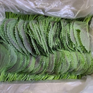 국내산 찹찹이깻잎 4kg