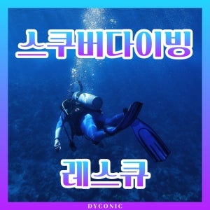다이코닉 스쿠버다이빙 스킨스쿠버 다이버 스트레스&레스큐 응급처치 교육 강습 과정 SSI