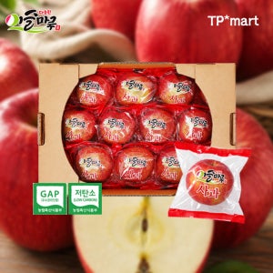 샐러드 외출 등산 간식 선물로 좋은 소포장 세척 의성 사과 2kg