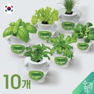 수경팜 새싹 둥둥이 미니 수경재배기 키트[10개 /1set] 국내생산 발아체험 청상추 바질 루꼴라 치커리 청경채 부추