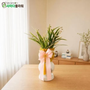 강진 개업화분 꽃다발 꽃바구니 난 생일 축하 개업 전국꽃배달서비스