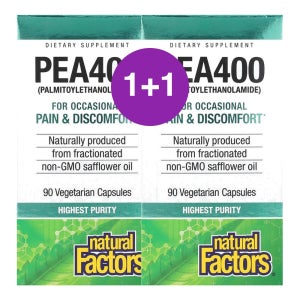 네추럴팩터스 PEA400 팔미토일에탄올아마이드 400mg 90캡슐, 2개