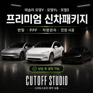 고양 일산 파주 운정 테슬라 모델Y/YL/3 썬팅 틴팅 신차패키지
