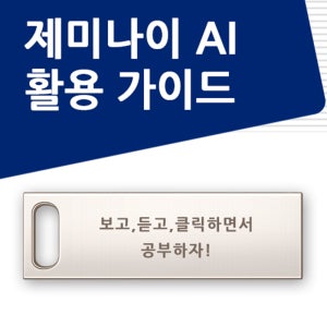 제미나이 활용 가이드 따라하기 시리즈 번역 문서 무료 요약과 보고서 작성 이미지 생성 자동화 코드 파이썬 동영상 코딩 초안 데이터 분석 PDF 시트 연동 프롬프트 사용법