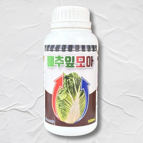 배추잎모아 배추영양제 결구 속 꽉찬 배추 속 채우는 법 500ml 김장 비료