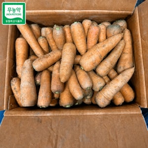 흙당근 국내산 무농약 친환경 햇당근 산지직송 가정용 쥬스용 대용량 중, 5kg, 1개