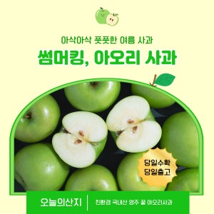 친환경 국내산 영주 꿀 아오리 사과 10kg
