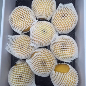 볼드비타 나주 신고 배 산지직송 배 선물용 가정용 추석 과일 선물세트 7.5kg