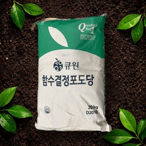 함수포도당 Glucose Dextrose 20kg