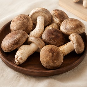 송화버섯 백화고 표고버섯 선물용 산지직송 1kg