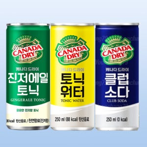 캐나다 드라이 진저에일 토닉워터 클럽소다 혼합 250ml 30캔 1박스 하이볼 탄산수