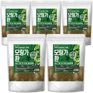 모링가환 1kg, 5개