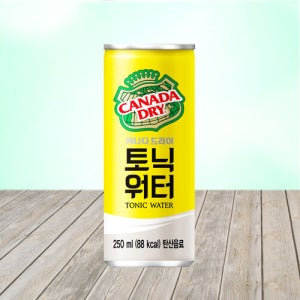 캐나다 드라이 토닉워터 250ml 30캔 1박스 탄산음료 하이볼 업소용