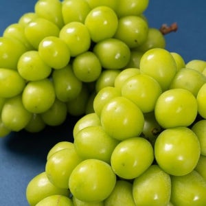 김천 고당도 샤인머스캣 2kg 산지직송 가정용
