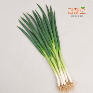김채소 국내산 대파 1kg, 1개