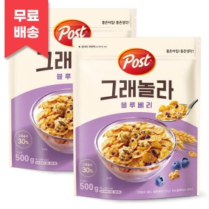 조은하우스 그래놀라 블루베리 500g 2개 968691