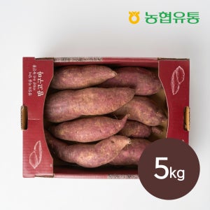 [세종대왕농협] 여주 햇 밤고구마 퍽퍽한 고구마 진율미 산지직송 5kg, 1개