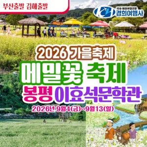 부산출발 가을축제 봉평메밀꽃축제 평창효석문화제 리무진관광버스 경희여행사 김해출발