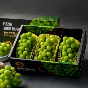 고당도 샤인머스캣 프리미엄 선물세트 2kg 금보자기 포장