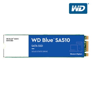 WD BLUE SA510 M.2 SATA3 SSD 1TB AS5년