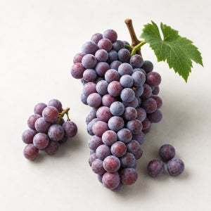 무주 백운농장 희귀품종 스튜벤 포도 에어캡포장 4kg