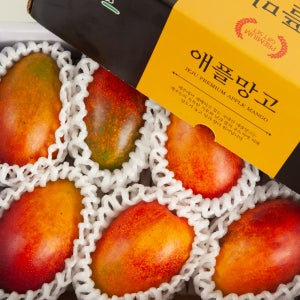 마음을 담은 한라산 붉은빛 명품 애플망고 선물세트 2kg / 3kg