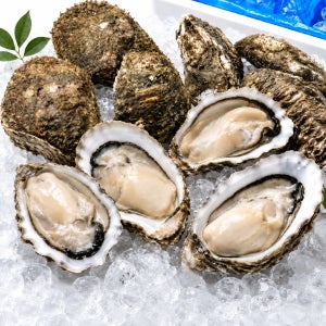 바다의 땅 통영 산지직송 삼배체굴5kg + 자연산 바위굴5kg 반반세트
