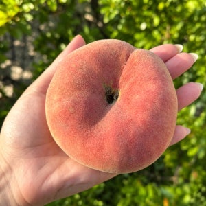 [복숭아] 거반도 납작복숭아 당도선별 산지직송 납작, 1kg, 1개