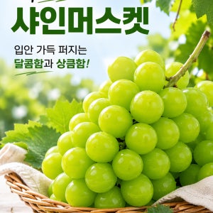 샤인머스켓 경북 경산 망고향 청포도 산지직송 국내산 과일 망고포도