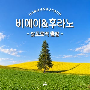 삿포로역 출발 비에이 후라노 일일 버스 투어