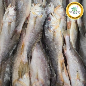 [함양시장] 인당상회 침조기 제사용 3마리(마리당 450g내외/36-40cm 내외)(긴가이석태)