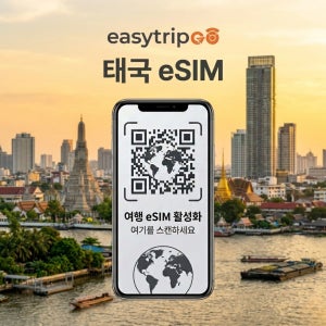 태국이심 eSIM 5G 매일 데이터 방콕 AIS 타일랜드 빠른개통 즉시발송 easytripgo