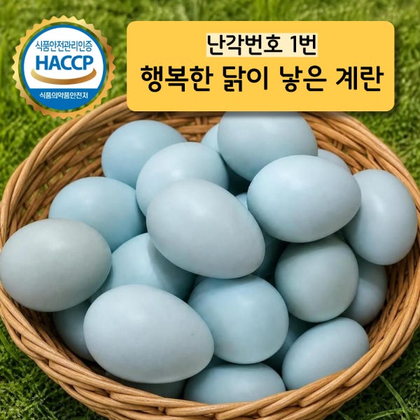 영양 청란 난각번호 1번 청계란 초란 자연방사 유정란