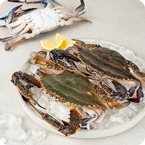 숫꽃게 1kg 국내산 연평도 활꽃게 인천 옹진 서해안 당일조업 제철 가을 수꽃게 게장용