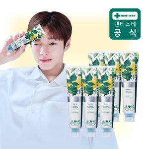 덴티스테 시트러스후레쉬 치약 불소 임냄새제거 충치케어 200g, 6개