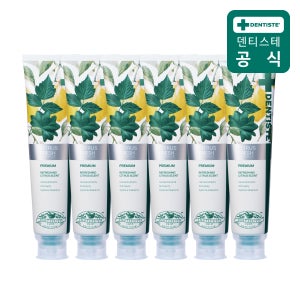 덴티스테 시트러스후레쉬 치약 불소 임냄세제거 충치케어 200g, 6개
