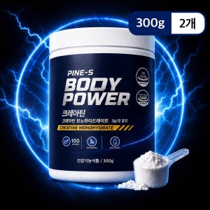 파인스 바디파워 크레아틴 모노 하이드레이트 300g, 2개