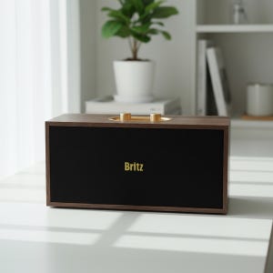 브리츠 레트로 앤틱 블루투스 스피커 BZ-TX11