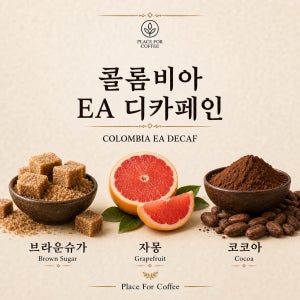 [5kg] 커피 생두 콜롬비아 EA 슈가케인 디카페인