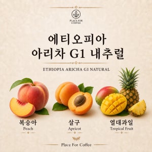 [5kg] 커피 생두 에티오피아 예가체프 아리차 G1 내추럴