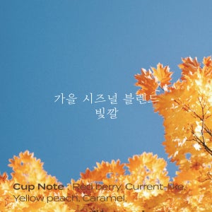 [먼스커피] 가을 시즈널 블렌드 ’빛깔’ 100g