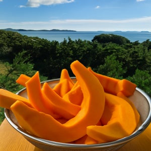 안면도 느루농원 26년산 손질 맷돌호박 늙은호박 조선호박 1kg, 1개