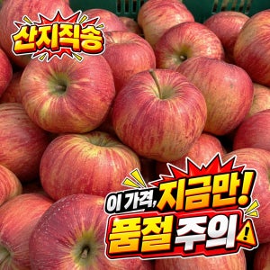 [초특가/산지 수확 후 발송] 경북 영주 고당도 가정용/못난이 햇홍로 사과 3kg, 5kg, 10kg_크기랜덤