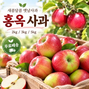 새콤달콤 홍옥사과 2kg 3kg 5kg 중소과 제철사과 산지직송 가정용