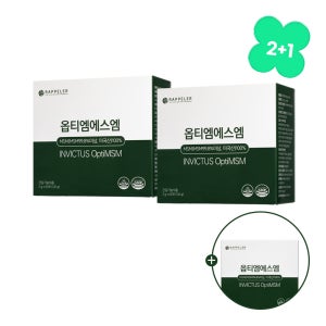 [추석기획전 2+1] 옵티엠에스엠(Opti MSM) 3박스/6개월분
