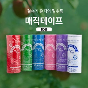결속기테이프 10롤 원예용 농업용 결속기 테이프 고추끈 포도끈 오이끈 고추지지대 매직그린