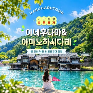 1명 출발 오사카 근교 일일 버스 투어 소도시 여행 이네후나야 아마노하시다테 한국인가이드
