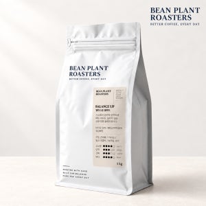 빈플랜트 밸런스업 블렌드 1kg 원두 고소한 중강배전 당일로스팅 커피콩 갓볶은 커피 홀빈